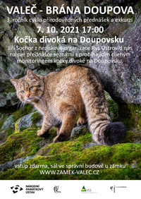 obrázek k akci Kočka divoká na Doupovsku, přednáška - Jiří Sochor