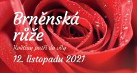 obrázek k akci Mezinárodní floristická soutěž Brněnská růže ve vile Stiassni